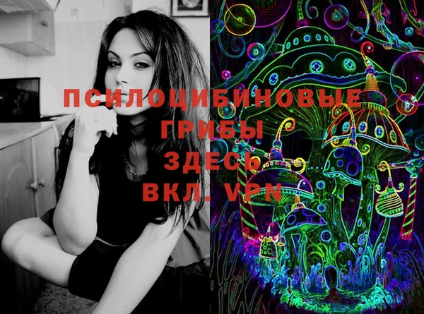 гидра Алексеевка