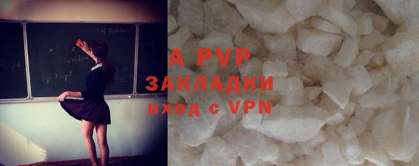 гидра Алексин