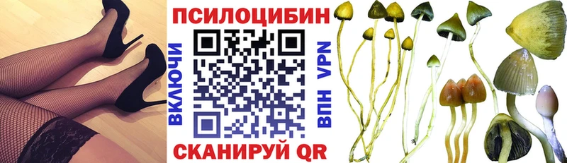 Псилоцибиновые грибы Magic Shrooms  Билибино 